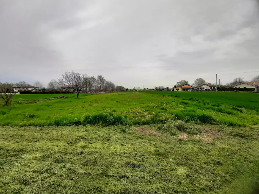 terreno in vendita a Mira in zona Malpaga