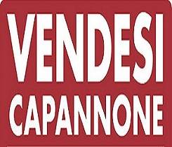 capannone in vendita a Mirano
