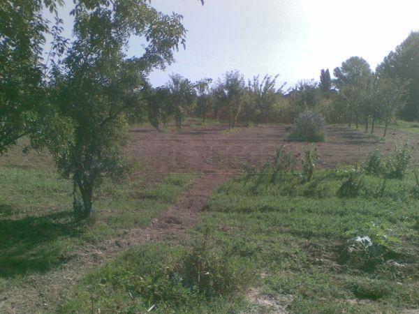 terreno agricolo in vendita a Mirano