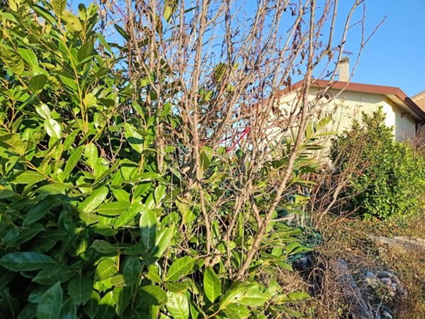 rudere in vendita a Mirano in zona Vetrego