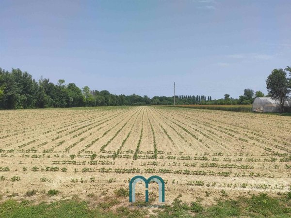 terreno agricolo in vendita a Mirano