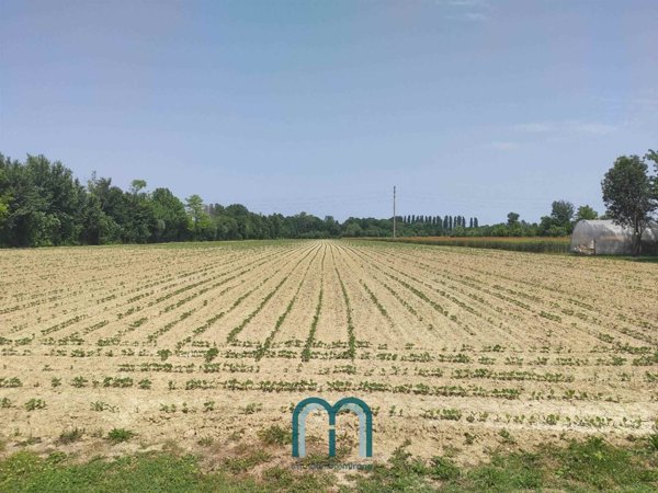 terreno agricolo in vendita a Mirano