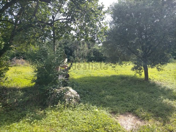 pentavano in vendita a Mirano in zona Zianigo