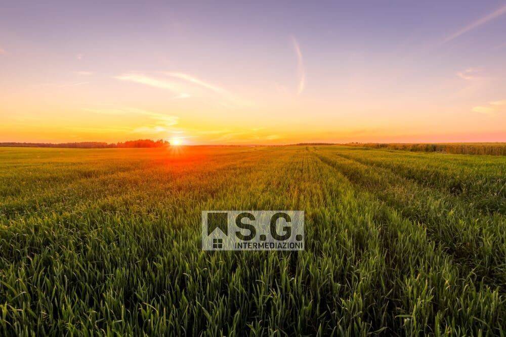 casale in vendita a Mirano