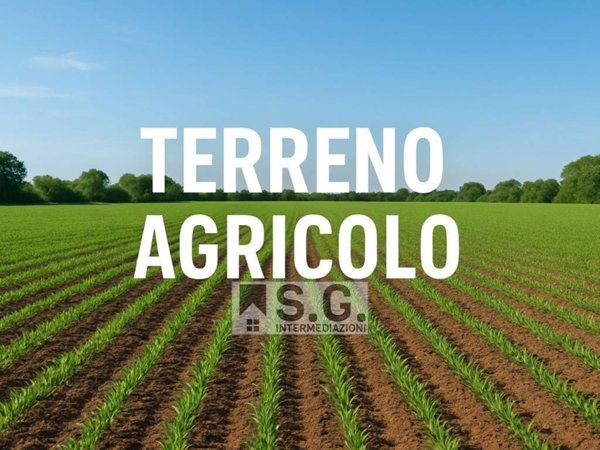 casa indipendente in vendita a Mirano