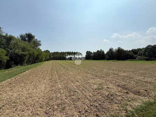 casa indipendente in vendita a Mirano in zona Zianigo