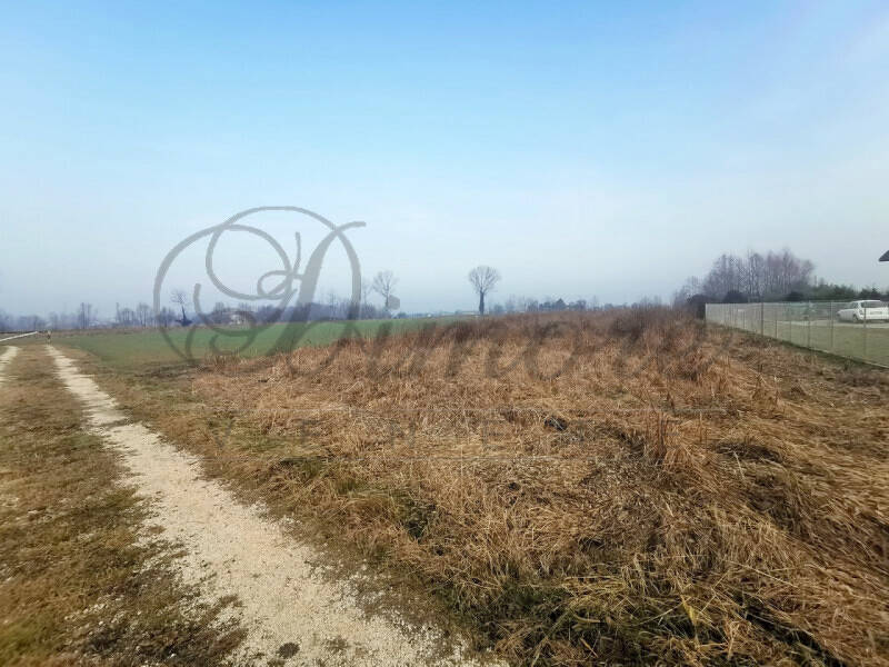 casa indipendente in vendita a Mirano in zona Scaltenigo