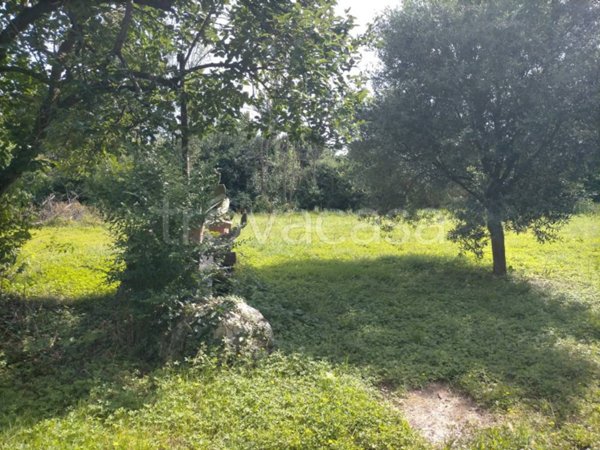 casa indipendente in vendita a Mirano in zona Zianigo