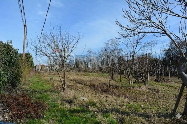 locale di sgombero in vendita a Mirano in zona Campocroce