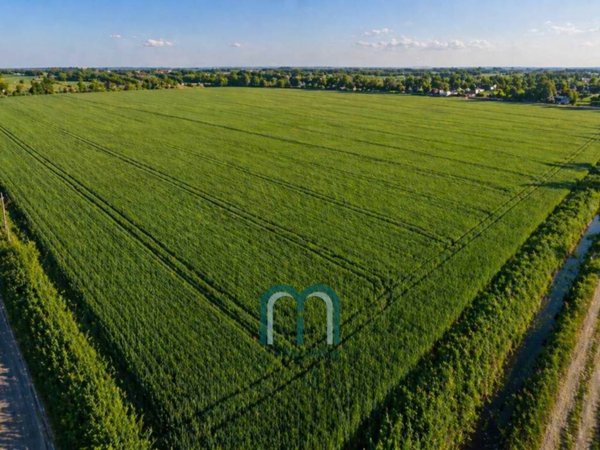 terreno agricolo in vendita a Mirano