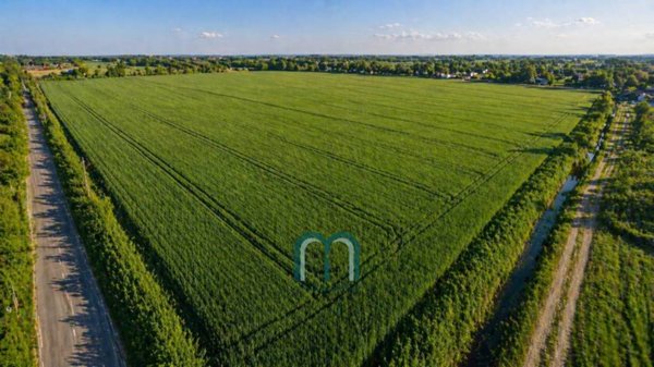 terreno agricolo in vendita a Mirano