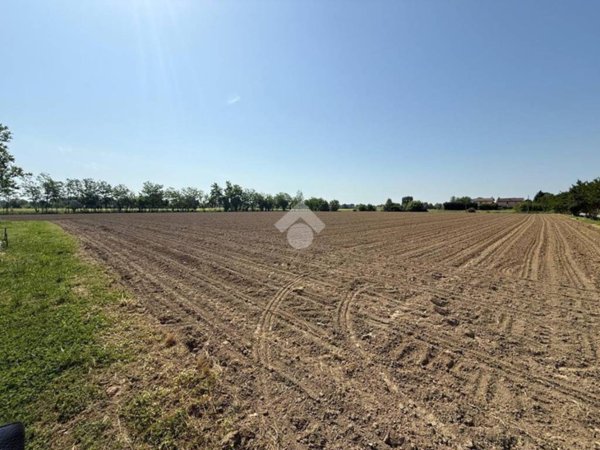 casa semindipendente in vendita a Mirano in zona Zianigo