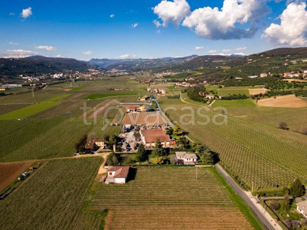 casa indipendente in vendita a Musile di Piave in zona Croce