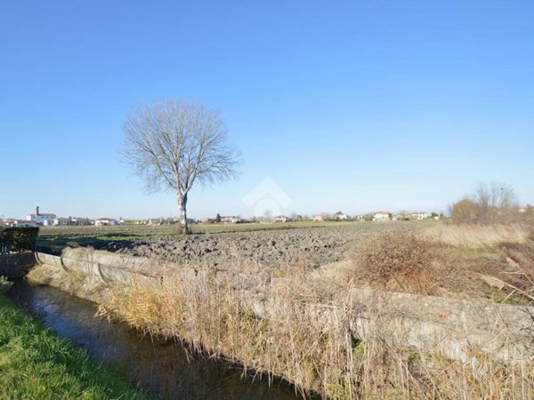 terreno agricolo in vendita a Musile di Piave