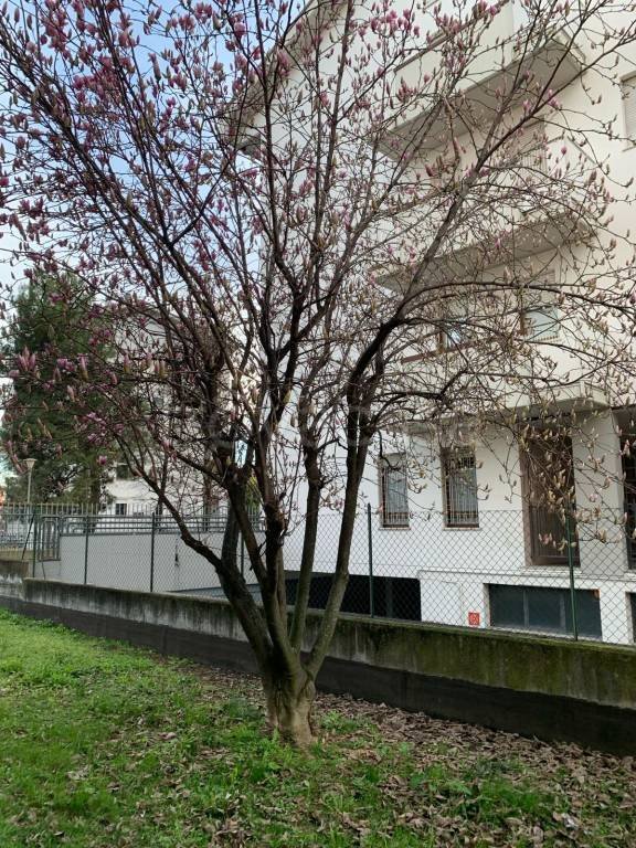 appartamento in vendita a Musile di Piave in zona Croce