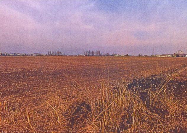 terreno agricolo in vendita a Musile di Piave