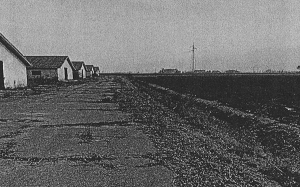 terreno agricolo in vendita a Musile di Piave