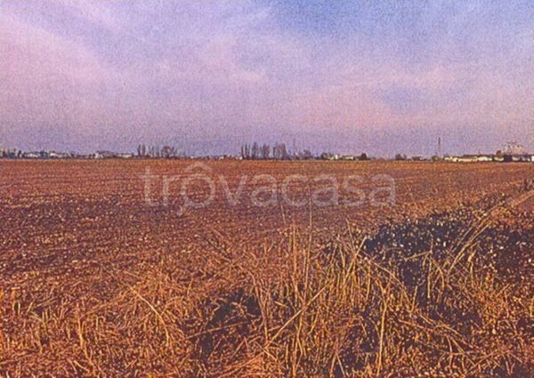 terreno agricolo in vendita a Musile di Piave