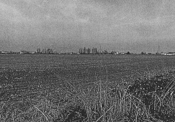 terreno agricolo in vendita a Musile di Piave