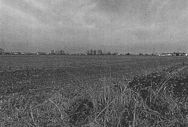 terreno agricolo in vendita a Musile di Piave