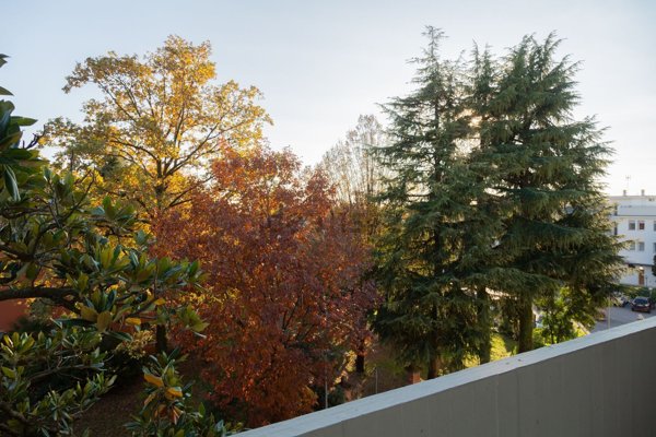 appartamento in vendita a Musile di Piave