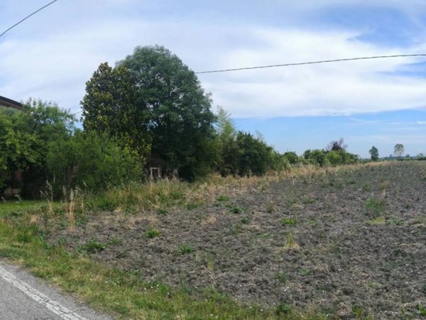terreno agricolo in vendita a Musile di Piave