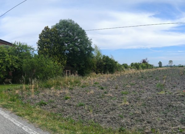 terreno agricolo in vendita a Musile di Piave