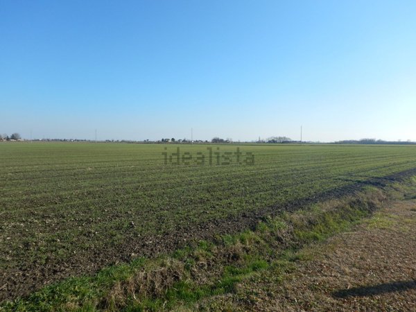 terreno edificabile in vendita a Musile di Piave
