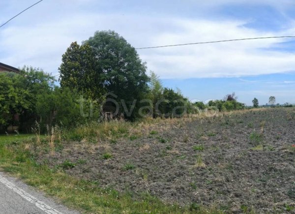 terreno agricolo in vendita a Musile di Piave