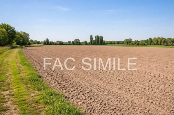 terreno agricolo in vendita a Musile di Piave