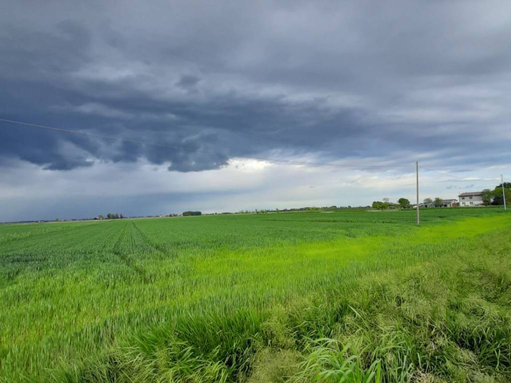 terreno agricolo in vendita a Musile di Piave