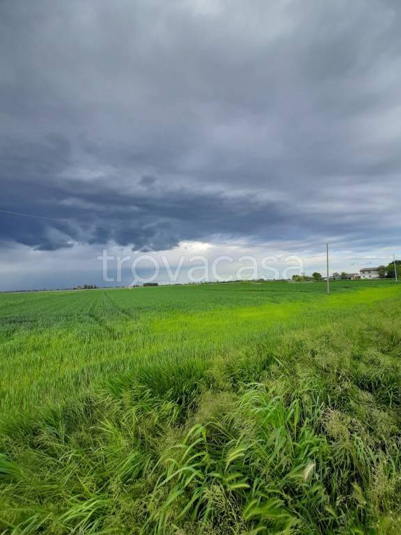 terreno agricolo in vendita a Musile di Piave