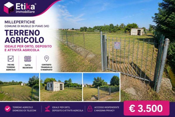 terreno agricolo in vendita a Musile di Piave