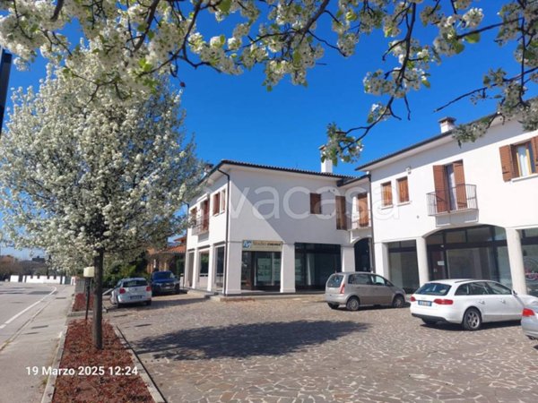 appartamento in vendita a Noale
