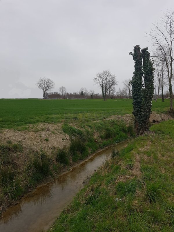 casa indipendente in vendita a Noale