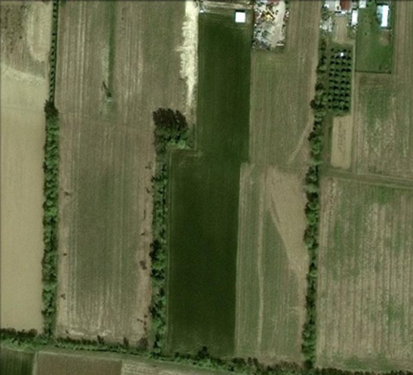 terreno agricolo in vendita a Noale