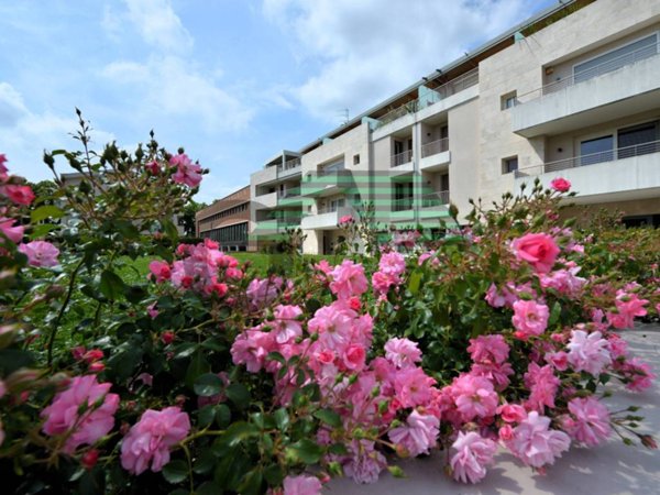 appartamento in vendita a Noale