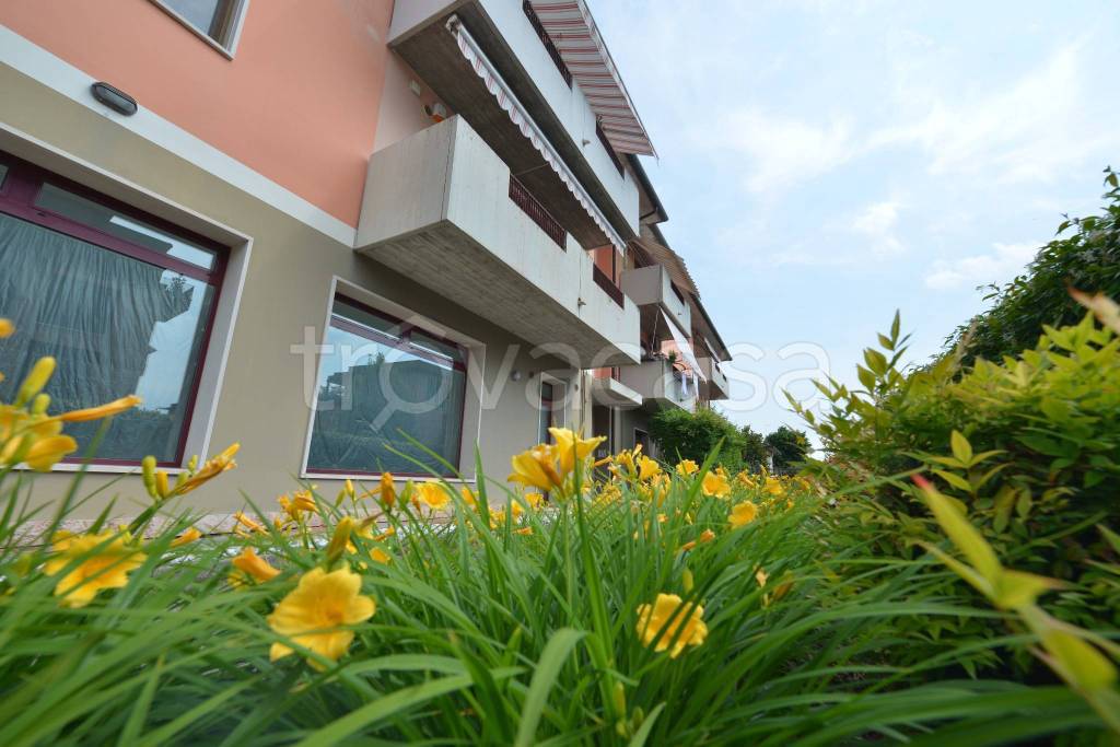 appartamento in vendita a Noale