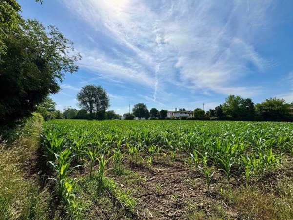 terreno agricolo in vendita a Noale in zona Briana