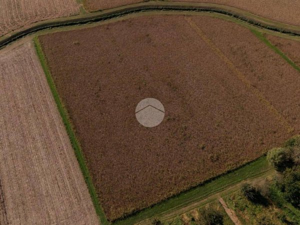 terreno agricolo in vendita a Noale in zona Briana