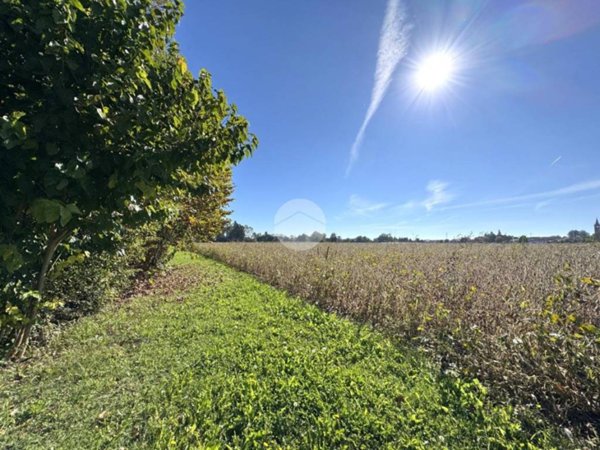 terreno agricolo in vendita a Noale in zona Briana