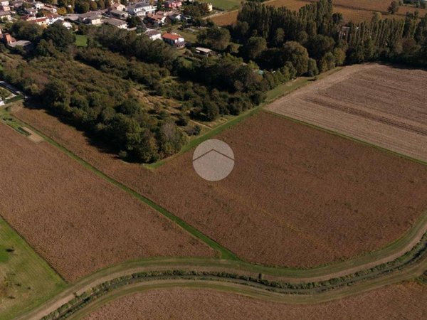 terreno agricolo in vendita a Noale in zona Briana