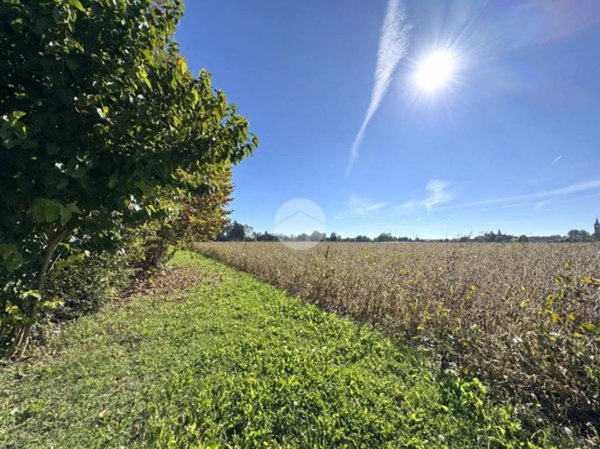 terreno agricolo in vendita a Noale in zona Briana
