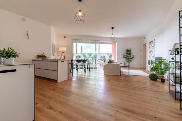 appartamento in vendita a Noale