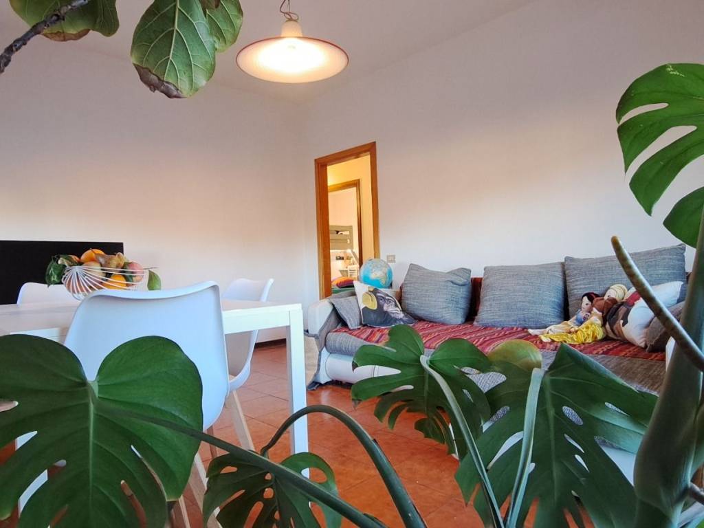 appartamento in vendita a Noale