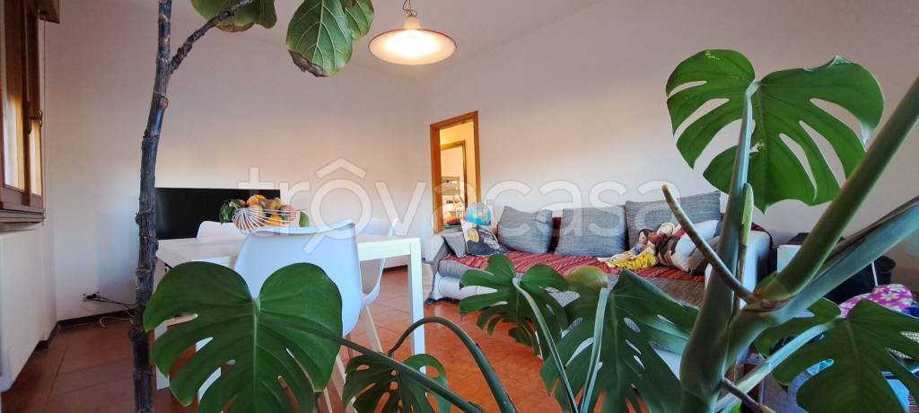 appartamento in vendita a Noale