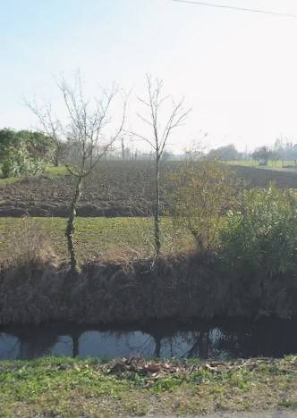 casa indipendente in vendita a Noale