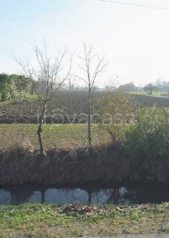 casa indipendente in vendita a Noale