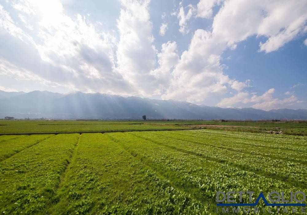 terreno agricolo in vendita a Noale