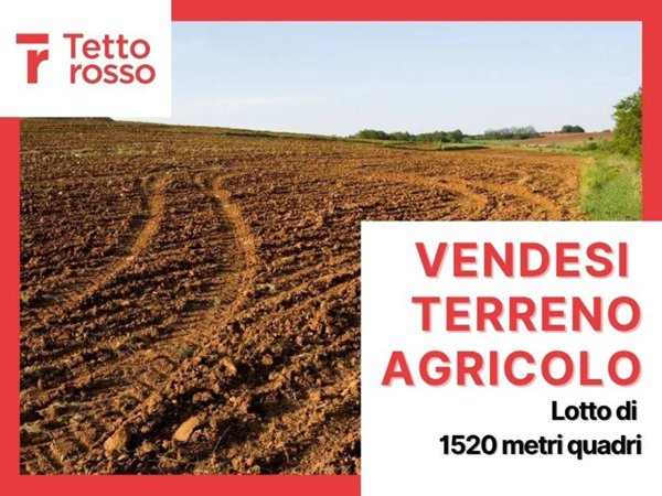 terreno agricolo in vendita a Noale in zona Cappelletta